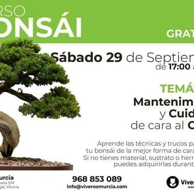 Regresan los Talleres Gratuitos de Bonsáis el próximo Sábado 29 de Septiembre
