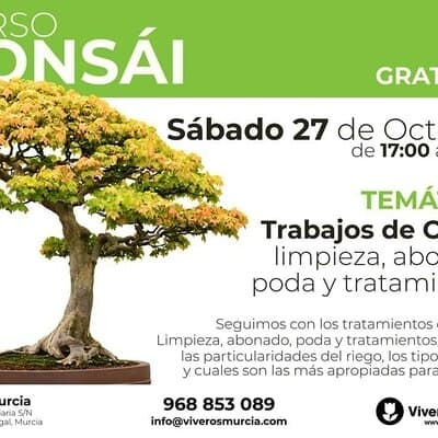 Taller de Bonsái gratis el próximo Sábado 27 de Octubre