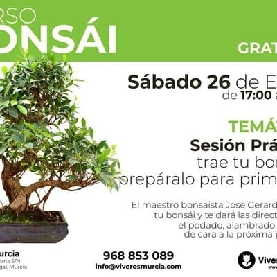 Taller práctico de Bonsái gratis el próximo Sábado 26 de Enero