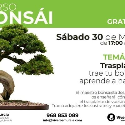 Taller práctico de Bonsái gratis el próximo Sábado 30 de Marzo