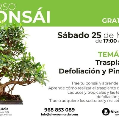 Nuevo Taller de Bonsái gratis el próximo Sábado 25 de Mayo