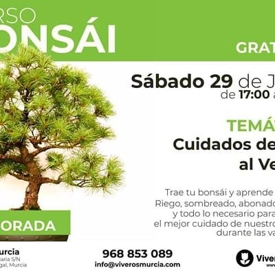 Fin de Temporada de los Talleres de Bonsái el próximo Sábado 29 de Junio