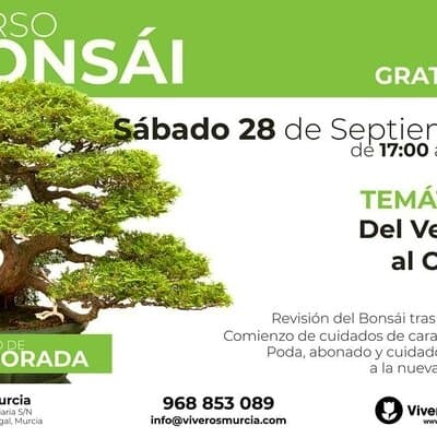 Taller de Bonsái gratis el próximo Sábado 28 de Septiembre