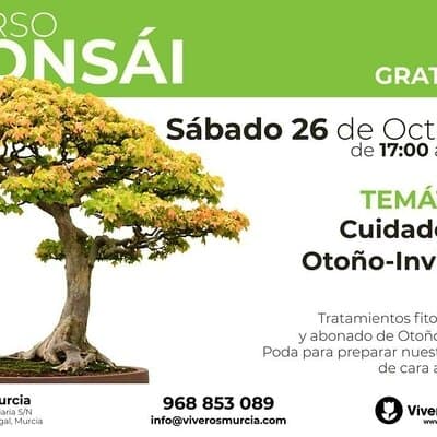 Taller de Bonsái gratis el próximo Sábado 26 de Octubre