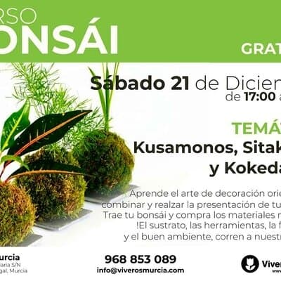 Taller especial de Bonsái: Kokedama, Sitakusas y Kusamonos gratis el próximo Sábado 21 de Diciembre