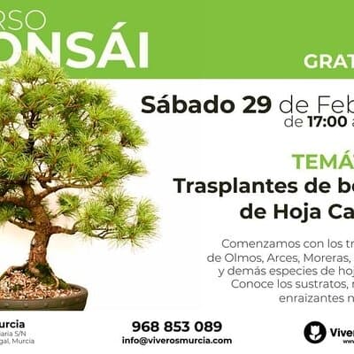 Taller de Bonsái: trasplante de bonsáis de hoja caduca, próximo Sábado 29 de Febrero