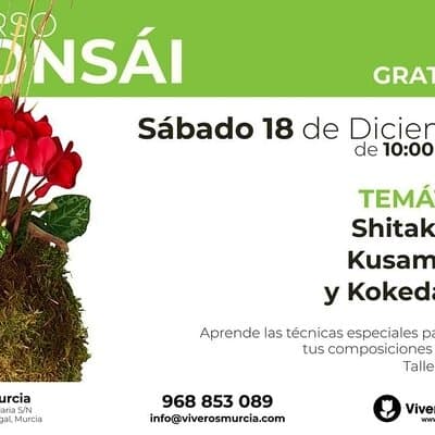 Taller de Shitakusas, Kusamonos y Kokedamas este sábado 18 en Viveros Murcia