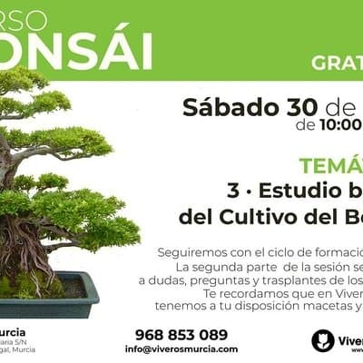 Curso de bonsái el 30 de Abril