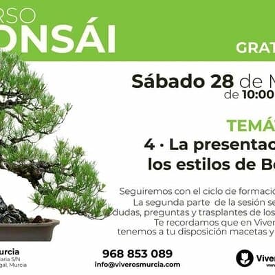 Curso de bonsái el 28 de Mayo