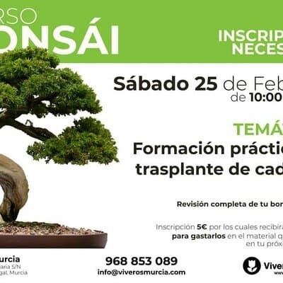 Nueva edición del taller de bonsái el sábado 25 de febrero