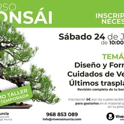 Última edición de la temporada de nuestro taller de bonsái el sábado 24 de junio