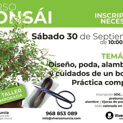 Comienza la temporada 2023-2024 de los talleres de bonsái de Viveros Murcia