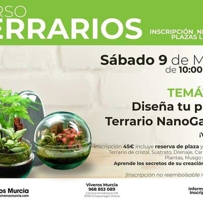 Crea tu propio Terrario y llévatelo a casa (Curso de Terrarios en Viveros Murcia)