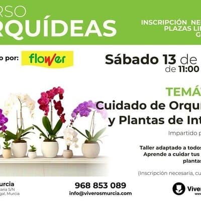 Curso de cuidados y cultivo de Orquídeas y plantas de interior