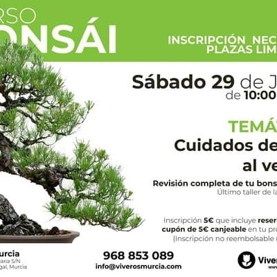 Curso de Bonsáis: Cuidados de cara al Verano