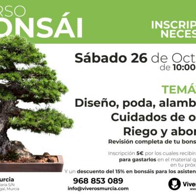 Curso de bonsái en Murcia · Cuidados de los bonsáis durante el Otoño