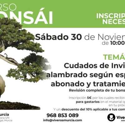 Próximo taller bonsáis el próximo sábado 30 de noviembre en Viveros Murcia