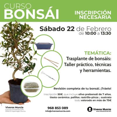 Nuevo taller bonsáis el próximo sábado 22 de febrero de 2025 en Viveros Murcia
