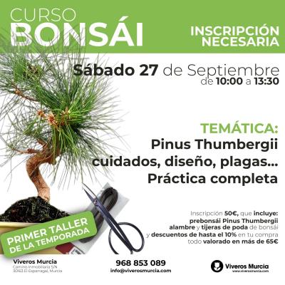 Inicia la temporada 2025-2026 con nuestro Taller Especializado de PINUS THUNBERGII