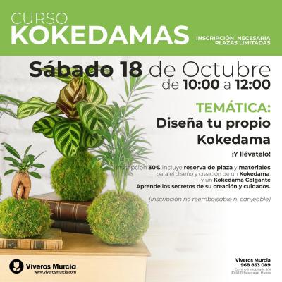 Crea tu propio Kokedama y llévatelos a casa (Curso de Kokedamas)