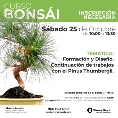 Aprende a dar forma al futuro de tus bonsáis el próximo 25 de octubre en Viveros Murcia.