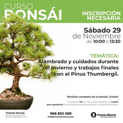 Nuevo Taller de Bonsái: Diseño, Alambrado y cuidados de Invierno para tus bonsái