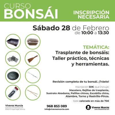 Taller de trasplantes de bonsáis: inicia la temporada el sábado 28 de febrero en Viveros Murcia