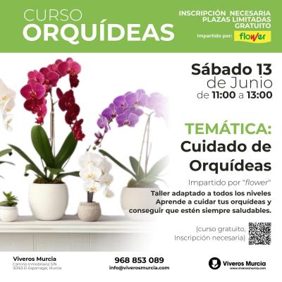 Taller de Orquídeas con Flower: sábado 13 de junio en Viveros Murcia