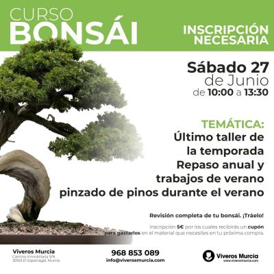 Último taller de bonsáis de la temporada 2026: repaso anual y trabajos de verano