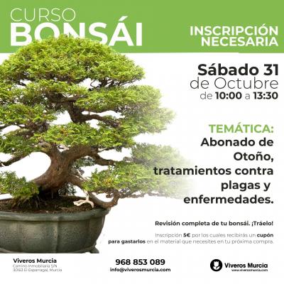 Taller de bonsáis de octubre: revisión de Durantha, abonado y trabajos de otoño