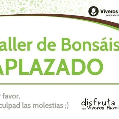 Taller de Kokedama en Viveros Murcia APLAZADO