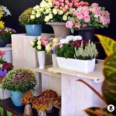 Reserva ya tus centros florales para el día de Todos los Santos