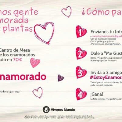Concurso 