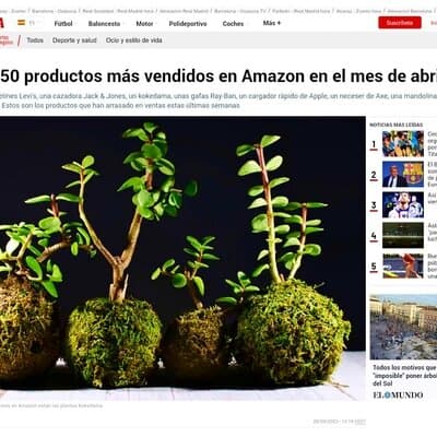 Los Kokedama de Viveros Murcia entre los 50 más vendidos de abril en Amazon según el diario MARCA