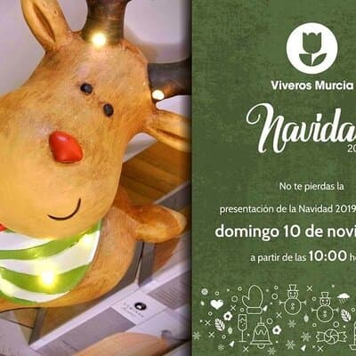 Presentación de Navidad 2019 para Particulares