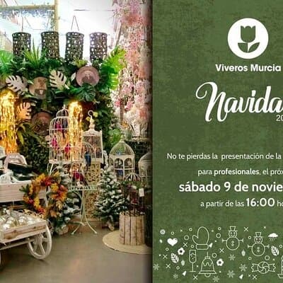 Presentación de Navidad 2019 para Profesionales