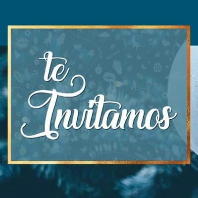 Te invitamos a descubrir la magia de la Navidad de 2022