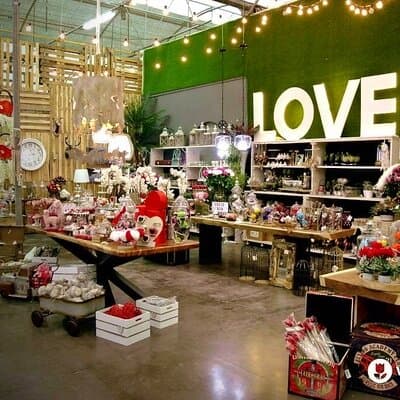 Colección especial San Valentín 2019 en Viveros Murcia