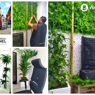 Trabajo de decoración para Clínica Dental Tornel