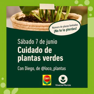 Aprende cuidado de plantas verdes con Diego Olivares (Loco Plantas). Curso gratis en Viveros Murcia el 07/06. ¡Solo 25 plazas! Inscríbete ya.