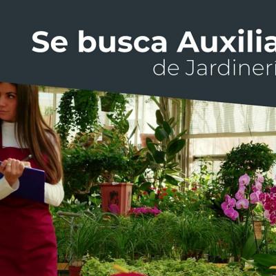 Oferta de trabajo de Auxiliar de Jardinería