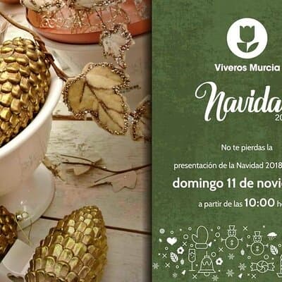 Fiesta de Navidad 2018 en Viveros Murcia